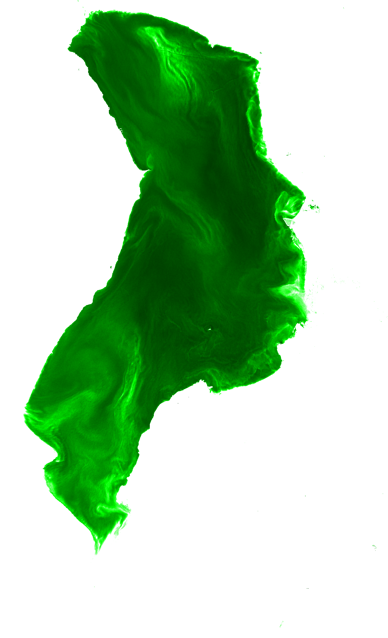 Satellite-derived bloom index map of Utah Lake